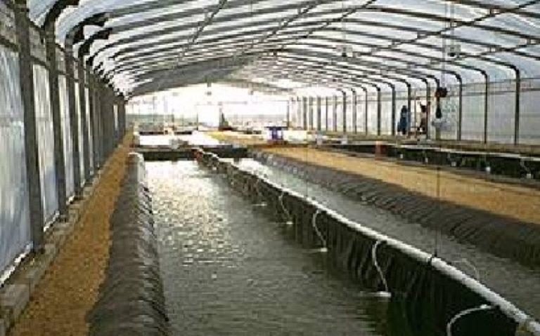 Technical liners for Aquaculture