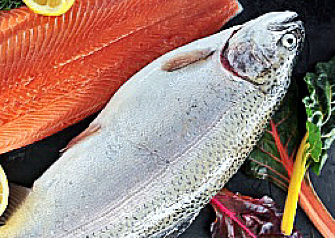 Lagoon Trout
